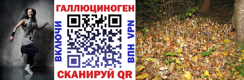 блэк спрут   закладка  Макаров  Псилоцибиновые грибы MAGIC MUSHROOMS 